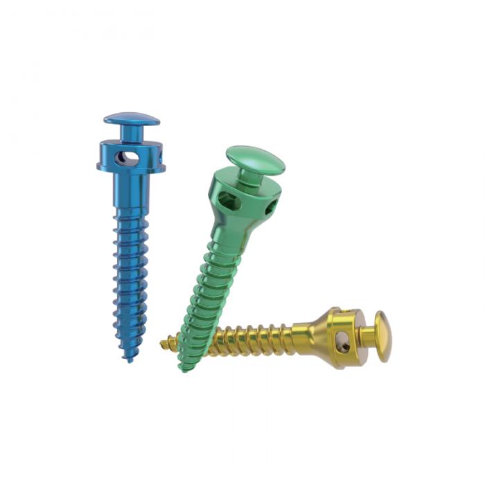 Intermaxillary Fixation (IMF)  Screw