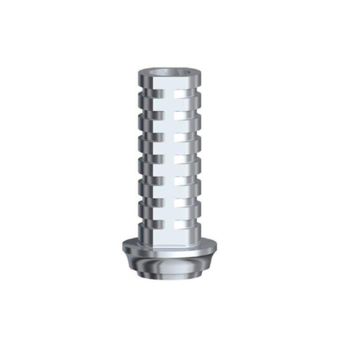 Dental Implant System