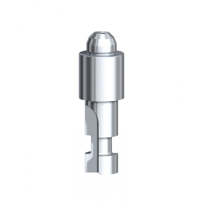 Dental Implant System