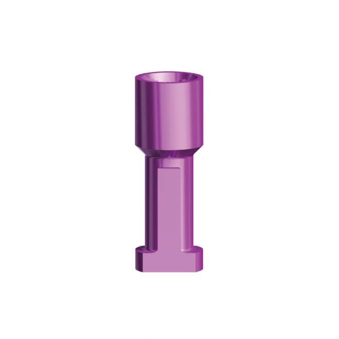 Dental Implant System